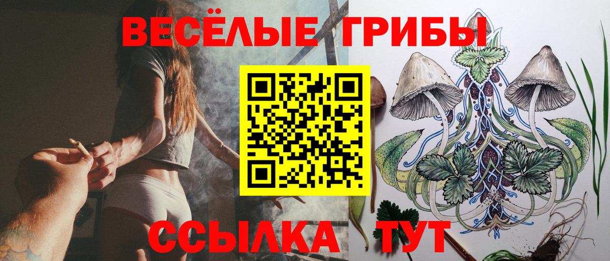 Псилоцибиновые грибы мицелий Свободный