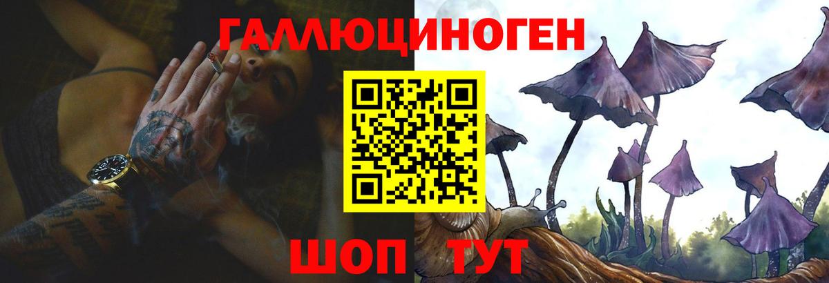 Свободный  Псилоцибиновые грибы ЛСД  Вход с VPN 